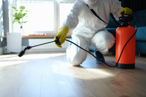 Reliable Biohazard Cleanup contractor in Palm Desert, CA by Trauma Clean Pros